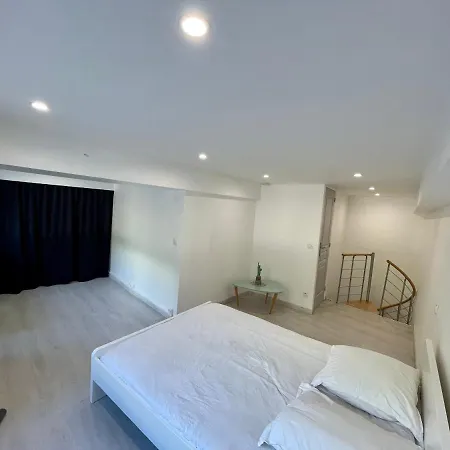 Appartement Loft Fourviere *